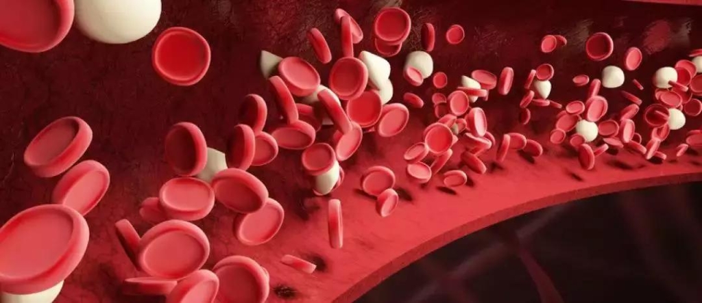 首个中国国产「重组人凝血因子Ⅷ」，神州细胞血友病疗法获批