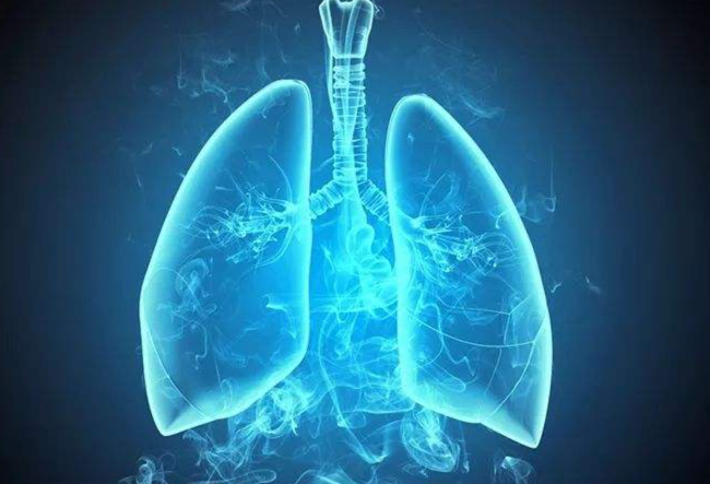 小细胞肺癌一线治疗：国产PD-1能否逆袭？