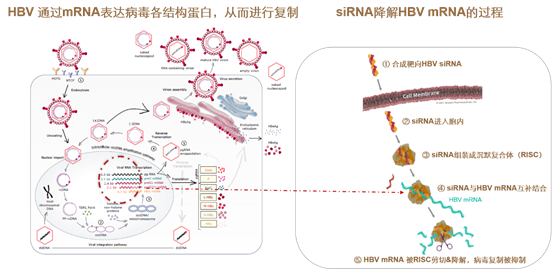 微信图片_20220923090604.png