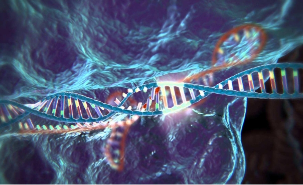 2023，CRISPR基因编辑疗法元年？
