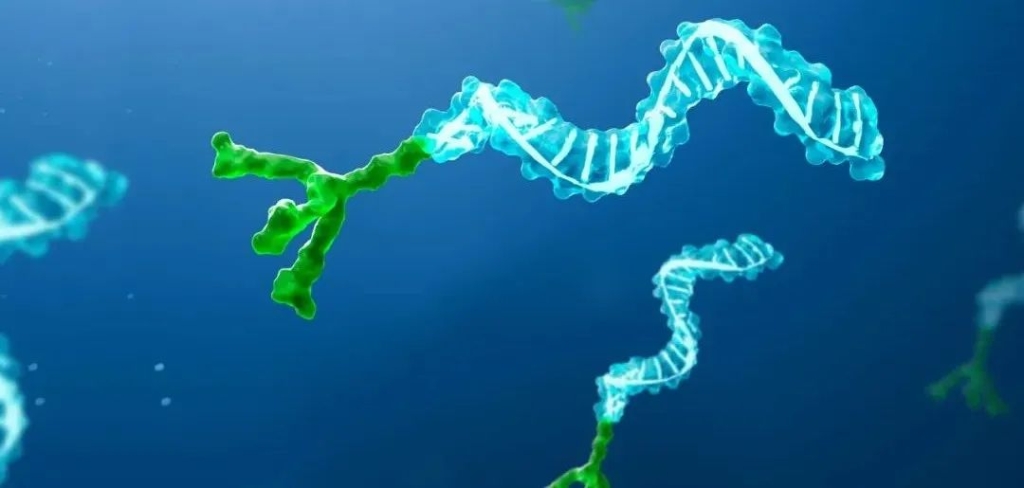 “一针管半年”，10多款这类高血压新药正在临床推进！全球13亿患者迎曙光